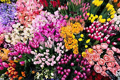 《少女魔役》Steam试玩发布 横版类银恶城动作冒险